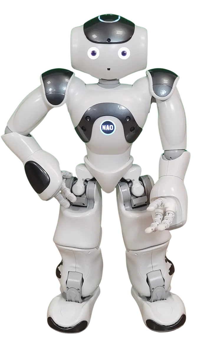 NAO (NAO6)